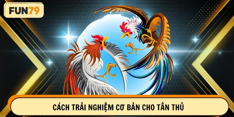 Cách trải nghiệm cơ bản cho tân thủ