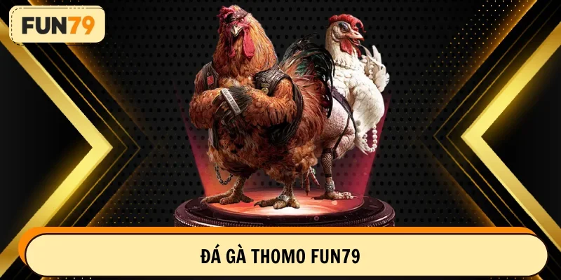 đá gà Thomo FUN79