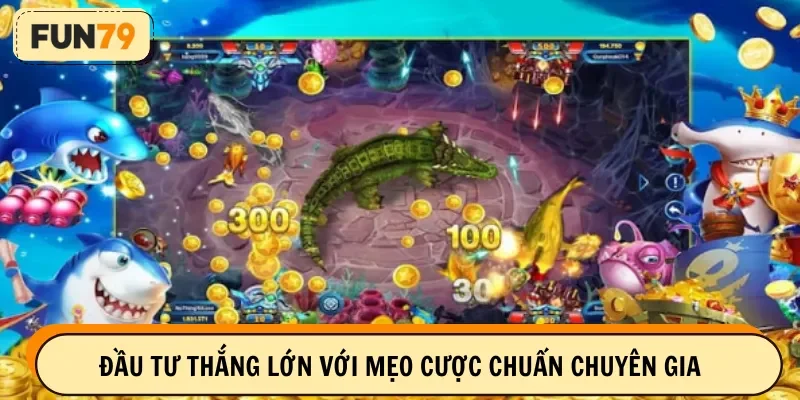 Đầu tư thắng lớn với mẹo cược chuẩn chuyên gia