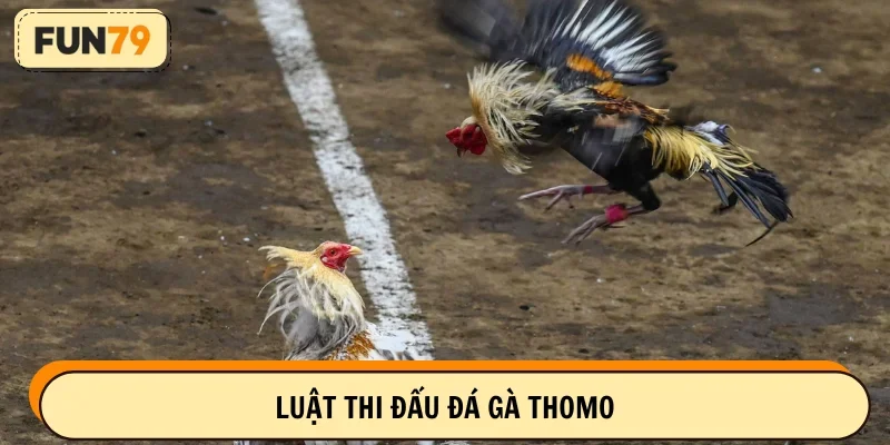 Hiểu về luật thi đấu chi tiết để cược thành công