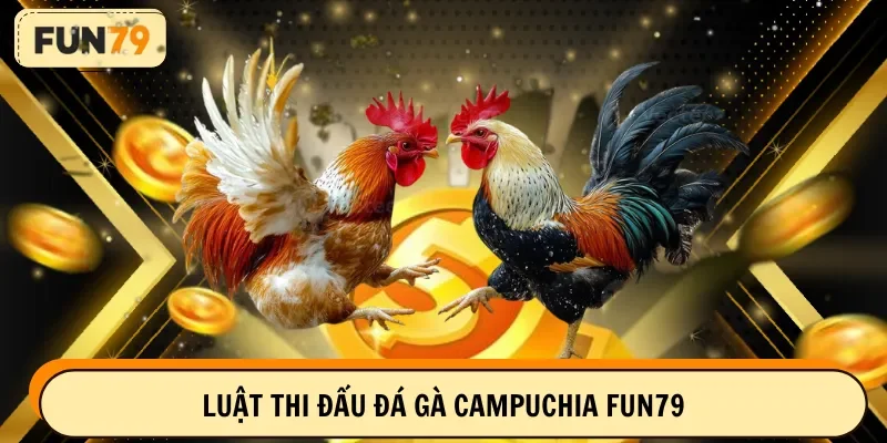 Luật thi đấu đá gà campuchia FUN79