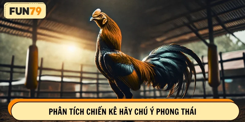 Phân tích chiến kê hãy chú ý phong thái
